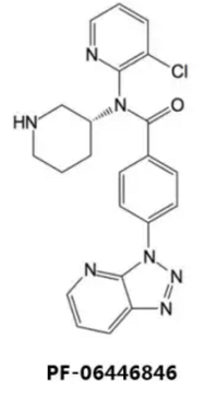 BG大游·(集团)视讯官方网站