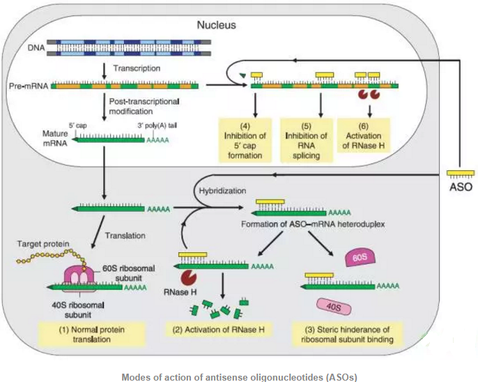 BG大游·(集团)视讯官方网站