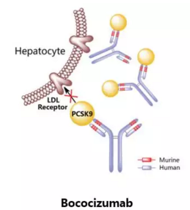 BG大游·(集团)视讯官方网站
