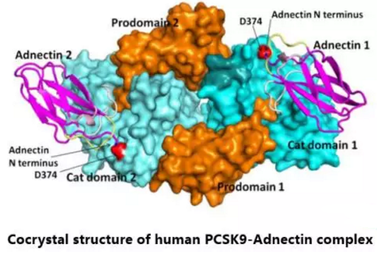 BG大游·(集团)视讯官方网站