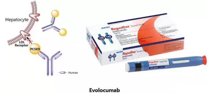 BG大游·(集团)视讯官方网站