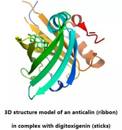 BG大游·(集团)视讯官方网站