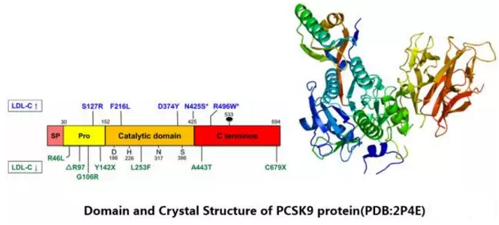 BG大游·(集团)视讯官方网站