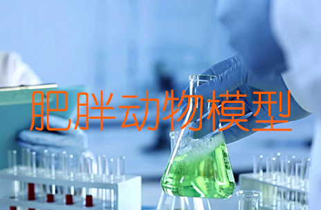 肥胖动物模子建设