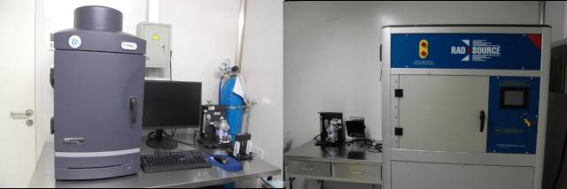 BG大游肿瘤动物模子效劳平台（一）