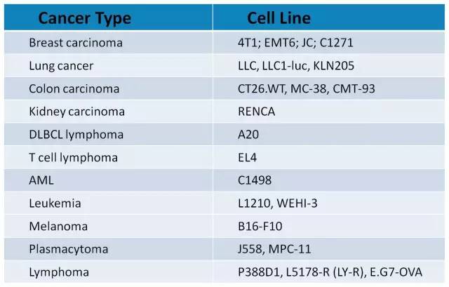 BG大游·(集团)视讯官方网站