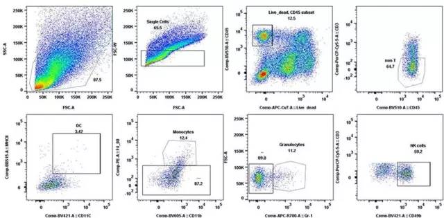 BG大游·(集团)视讯官方网站
