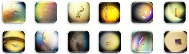 BG大游·(集团)视讯官方网站