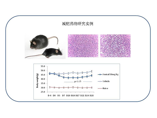 BG大游·(集团)视讯官方网站