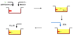 BG大游·(集团)视讯官方网站