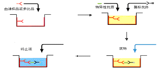BG大游·(集团)视讯官方网站
