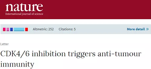 BG大游·(集团)视讯官方网站