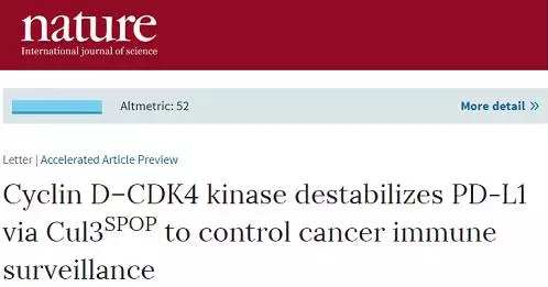 BG大游·(集团)视讯官方网站