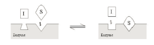 BG大游·(集团)视讯官方网站
