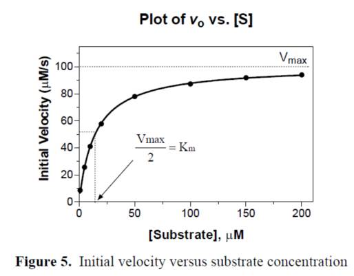 BG大游·(集团)视讯官方网站