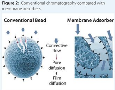 BG大游·(集团)视讯官方网站