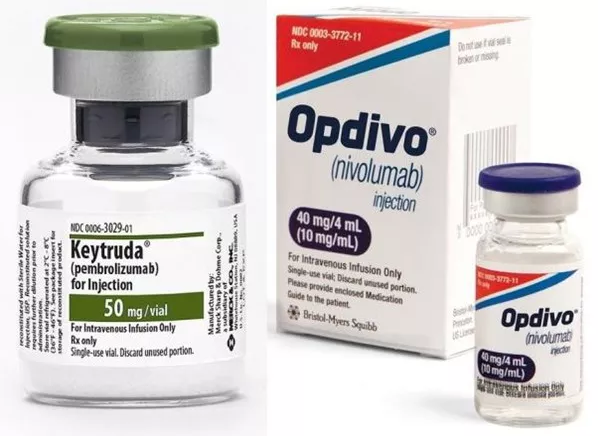 BG大游·(集团)视讯官方网站