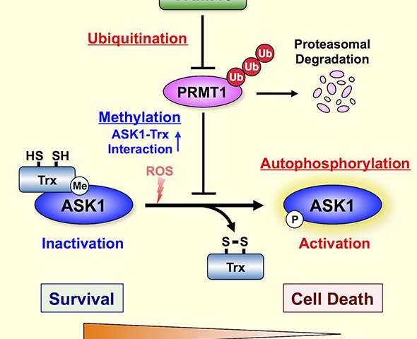 BG大游·(集团)视讯官方网站
