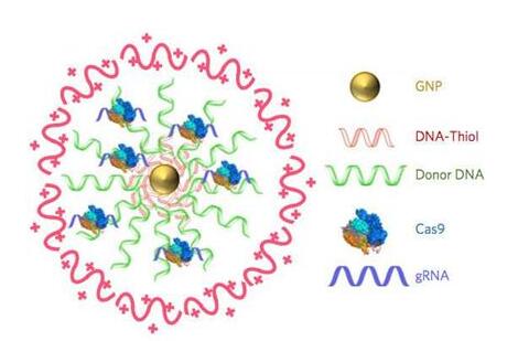 BG大游·(集团)视讯官方网站
