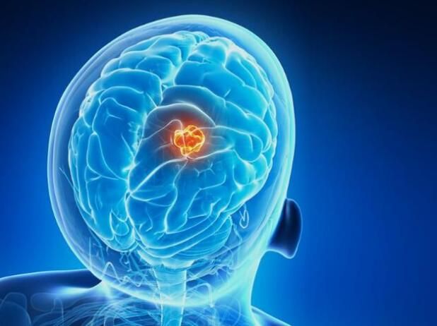 BG大游·(集团)视讯官方网站