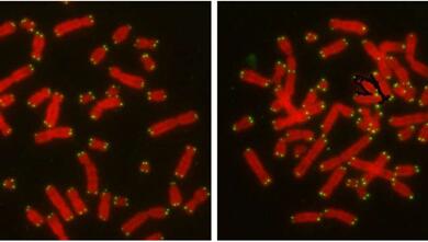 BG大游·(集团)视讯官方网站
