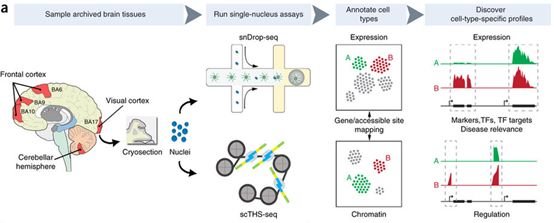 BG大游·(集团)视讯官方网站