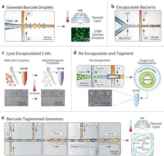 BG大游·(集团)视讯官方网站
