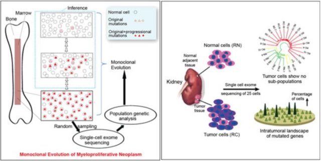 BG大游·(集团)视讯官方网站