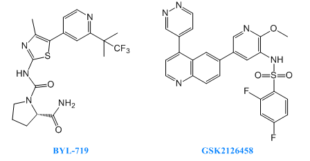 BG大游·(集团)视讯官方网站