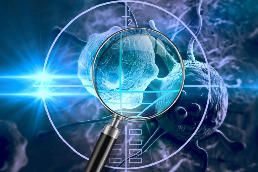 BG大游·(集团)视讯官方网站