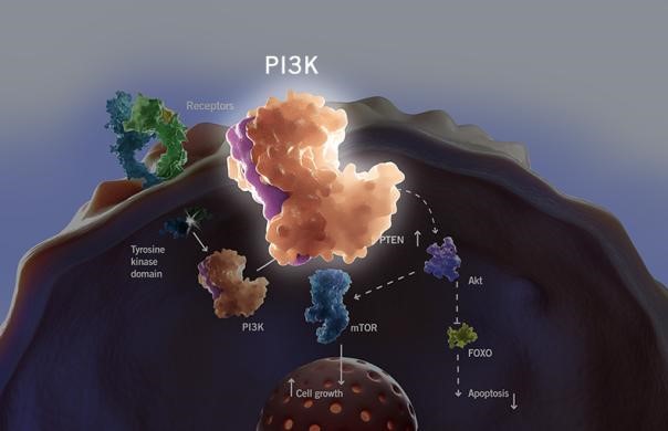 BG大游·(集团)视讯官方网站