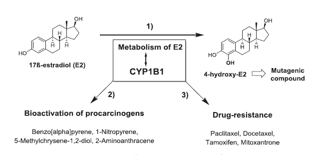 BG大游·(集团)视讯官方网站