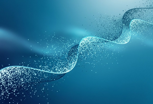 BG大游·(集团)视讯官方网站