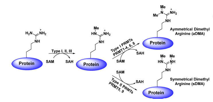 BG大游·(集团)视讯官方网站