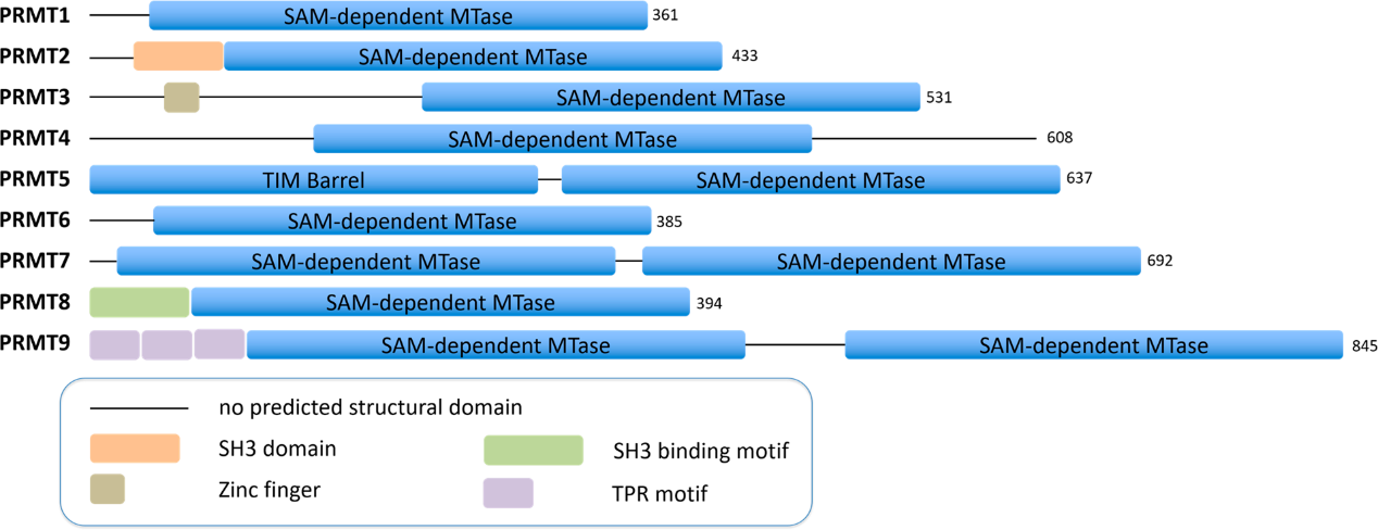 BG大游·(集团)视讯官方网站