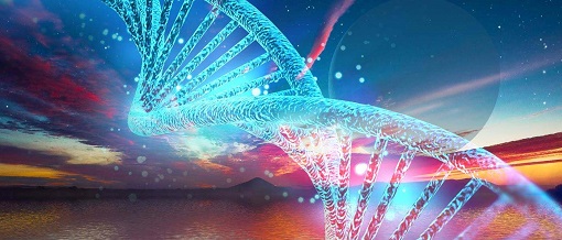 BG大游·(集团)视讯官方网站