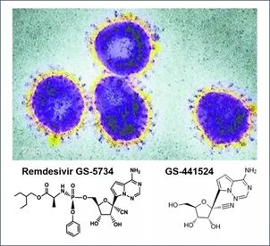 基于细胞因子风暴和免疫炎症反应综合征，，，，，，，，许多免疫相关靶点也可以列为冠状病毒的靶点。。。。。