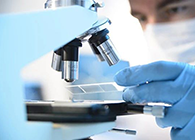 BG大游代谢产品判断(MetlD)效劳平台