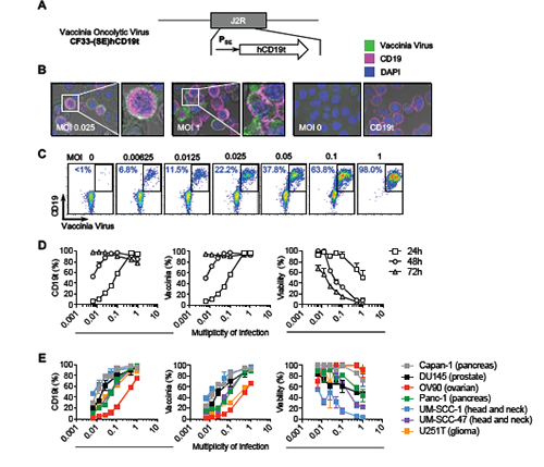 BG大游·(集团)视讯官方网站