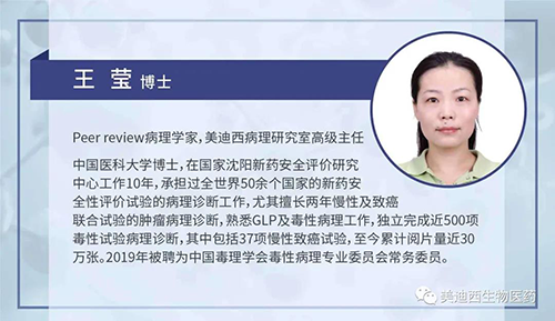 BG大游病理研究部高级主任王莹博士