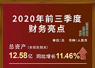 BG大游宣布2020第三季度财报！