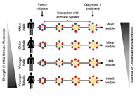 事实为什么ICB疗法在年轻女性肿瘤患者体内收效甚微？？？？？？？？
