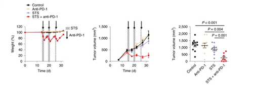 与比照组及仅使用PD-1疗法的模子小鼠比照，，，，，，接纳短期饥饿配合PD-1疗法的393P细胞同源移植肿瘤小鼠体内的肿瘤体积有了显着的缩短。。。。。。。。