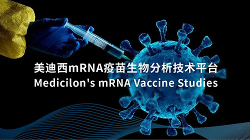BG大游mRNA疫苗生物剖析手艺平台