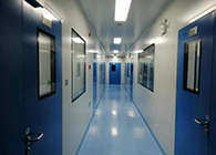 BG大游制剂CDMO效劳平台