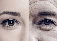 一种能够延伸寿命的降压药，，，，你听说过吗？？？？？？？