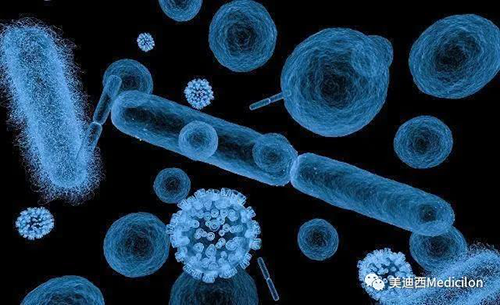 20分钟，，，，大大都细菌都可以繁衍一代 BG大游生物医药