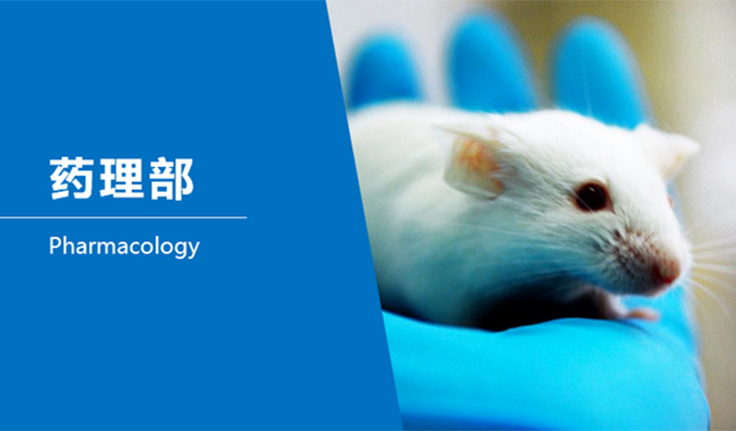 BG大游临床前研究-药理部