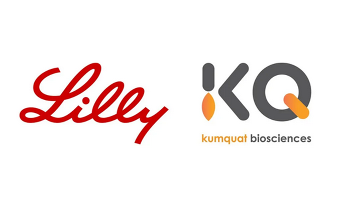 祝贺！BG大游相助同伴Kumquat Biosciences与礼来告竣相助，，，，配合开发肿瘤免疫小分子药