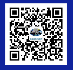 BG大游·(集团)视讯官方网站